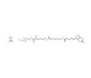 N-Methanethiosulfonylethylene-N6-(6-biotinamidocaproyl)lysineamido-N-&alpha;-ammonium Trifluoroacetic Acid Salt - chemical structur