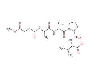 N-Methoxysuccinyl-Ala-Ala-Pro-Val (CAS 107441-48-5) - chemical structure image