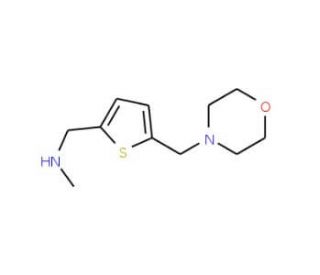 N-Methyl-1-[5-(morpholin-4-ylmethyl)thiophen-2-yl]methylamine (CAS 893742-71-7) - chemical structure image