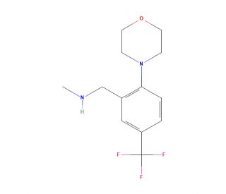 N-Methyl-N-[2-morpholin-4-yl-5-(trifluoromethyl)benzyl]amine (CAS 886851-52-1) - chemical structure image