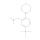 N-Methyl-N-[2-morpholin-4-yl-5-(trifluoromethyl)benzyl]amine (CAS 886851-52-1) - chemical structure image