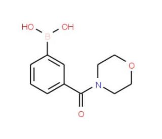 N-Morpholinyl 3-boronobenzamide (CAS 723281-55-8) - chemical structure image