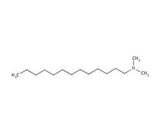 N,N-Dimethyltridecylamine (CAS 17373-29-4) - chemical structure image