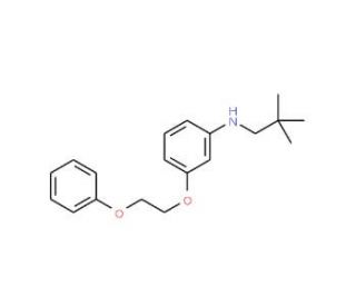 N-Neopentyl-3-(2-phenoxyethoxy)aniline - chemical structure image