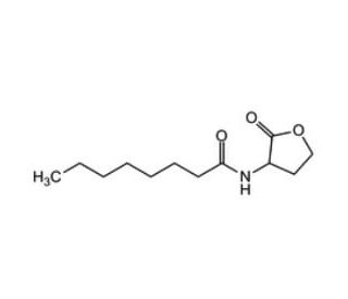 N-Octanyol-DL-homoserine lactone (CAS 106983-30-6) - chemical structure image