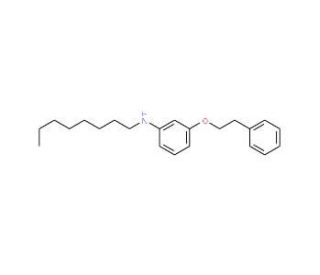 N-Octyl-3-(phenethyloxy)aniline - chemical structure image