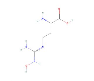 N-&omega;-Hydroxy-L-norarginine diacetate salt (CAS 189302-40-7) - chemical structure image