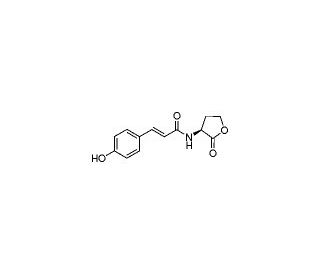 N-(p-Coumaroyl)-L-homoserine lactone - chemical structure image