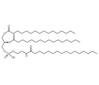 N-Palmitoyl phosphatidylethanolamine (CAS 108321-22-8) - chemical structure image