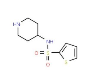 N-piperidin-4-ylthiophene-2-sulfonamide - chemical structure image