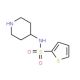 N-piperidin-4-ylthiophene-2-sulfonamide - chemical structure image