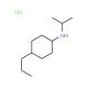 N-(propan-2-yl)-4-propylcyclohexan-1-amine hydrochloride - chemical structure image