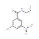 N-Propyl 3-bromo-5-nitrobenzamide (CAS 929000-38-4) - chemical structure image