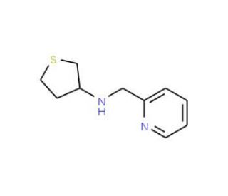 N-(pyridin-2-ylmethyl)-N-tetrahydrothien-3-ylamine - chemical structure image