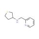 N-(pyridin-2-ylmethyl)-N-tetrahydrothien-3-ylamine - chemical structure image