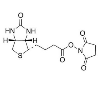 N-Succinimido-(&plus;)-biotin (CAS 35013-72-0) - chemical structure image