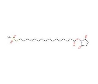 N-Succinimidyloxycarbonylpentadecyl Methanethiosulfonate (CAS 887407-52-5) - chemical structure image