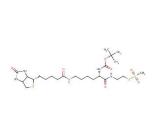 N-t-Boc-biocytinamidoethyl Methanethiosulfonate - chemical structure image