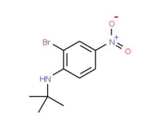 N-t-Butyl 2-bromo-4-nitroaniline (CAS 952664-76-5) - chemical structure image