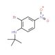 N-t-Butyl 2-bromo-4-nitroaniline (CAS 952664-76-5) - chemical structure image