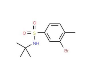 N-t-Butyl 3-bromo-4-methylbenzenesulfonamide (CAS 850429-70-8) - chemical structure image