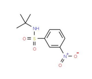 N-t-Butyl 3-nitrobenzenesulfonamide (CAS 424818-25-7) - chemical structure image