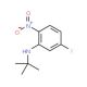 N-t-Butyl-5-fluoro-2-nitroaniline (CAS 1133115-34-0) - chemical structure image