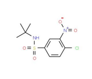 N-(tert-butyl)-4-chloro-3-nitrobenzenesulfonamide - chemical structure image