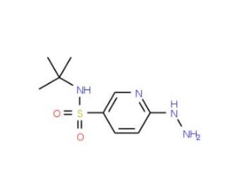N-(tert-butyl)-6-hydrazinopyridine-3-sulfonamide - chemical structure image