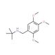 N-(tert-butyl)-N-(2,4,5-trimethoxybenzyl)amine - chemical structure image
