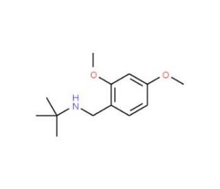 N-(tert-butyl)-N-(2,4-dimethoxybenzyl)amine - chemical structure image