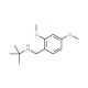 N-(tert-butyl)-N-(2,4-dimethoxybenzyl)amine - chemical structure image