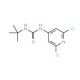 N-(tert-Butyl)-N′-(2,6-dichloro-4-pyridyl)urea (CAS 680213-57-4) - chemical structure image