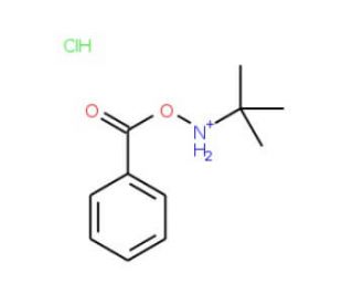 N-tert-Butyl-O-benzoylhydroxylamine hydrochloride - chemical structure image