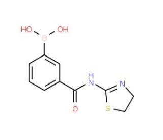 N-(Thiazoline-2-yl) 3-boronobenzamide (CAS 871333-06-1) - chemical structure image