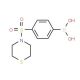 N-Thiomorpholin-4-yl 4-boronobenzenesulphonamide (CAS 871329-69-0) - chemical structure image