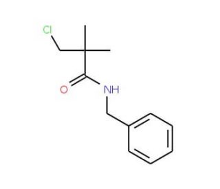 N1-Benzyl-3-chloro-2,2-dimethylpropanamide - chemical structure image
