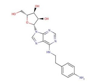 N6-2-(4-Aminophenyl)ethyladenosine (CAS 89705-21-5) - chemical structure image