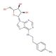 N6-2-(4-Aminophenyl)ethyladenosine (CAS 89705-21-5) - chemical structure image