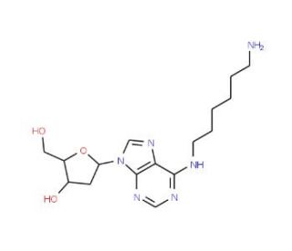 N6-(6-Aminohexyl)-2&prime;-deoxyadenosine (CAS 147218-60-8) - chemical structure image