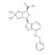 N6-Benzyl-2′,3′-isopropylideneadenosine-5′-carboxylic Acid - chemical structure image