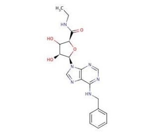 N<sup>6</sup>-Benzyl-5&prime;-ethylcarboxamido Adenosine (CAS 152918-32-6) - chemical structure image
