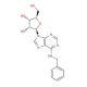 N6-Benzyl Adenosine (CAS 4294-16-0) - chemical structure image