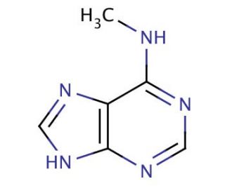 N6-Methyladenine (CAS 443-72-1) - chemical structure image