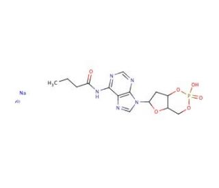 N<sup>6</sup>-Monobutyryl-2&prime;-deoxyadenosine 3&prime;:5&prime;-cyclic monophosphate sodium salt (CAS 108347-96-2) - chemical structure image
