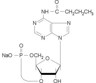 N<sup>6</sup>-Monobutyryladenosine 3&prime;:5&prime;-cyclic monophosphate sodium salt (CAS 70253-67-7) - chemical structure image
