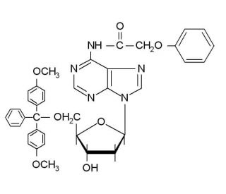 N6-Phenoxyacetyl-5&prime;-O-(4,4&prime;-dimethoxytrityl)-2&prime;-deoxyadenosine (CAS 115388-94-8) - chemical structure image