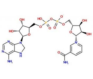 NAD<sup>+</sup>, Free Acid (CAS 53-84-9) - chemical structure image