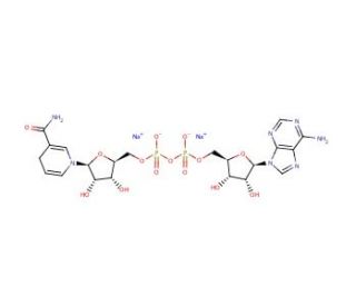 NADH disodium salt (CAS 606-68-8) - chemical structure image