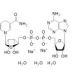 NADH disodium salt trihydrate (CAS 606-68-8 (anhydrous)) - chemical structure image